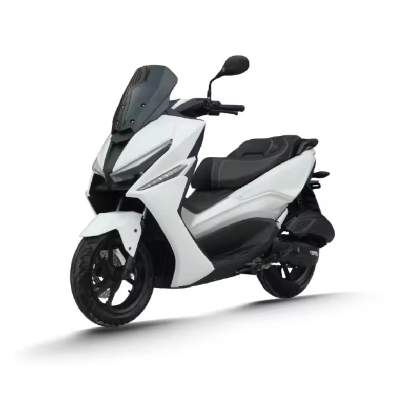 QQW Langstrecken-Elektrofahrra – Electric Scooter Adults Bewertung und Preis