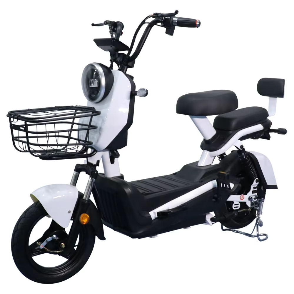 QQW Zuverlässiges Elektrofahrr – Electric Scooter 500W Bewertung und Preis