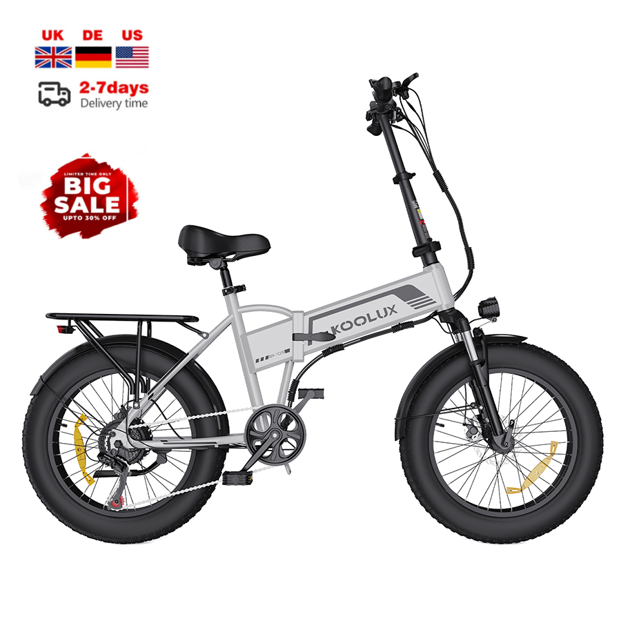 EU PL Lager 500W Fatbike 48V F – Electric Scooter 500W Bewertung und Preis
