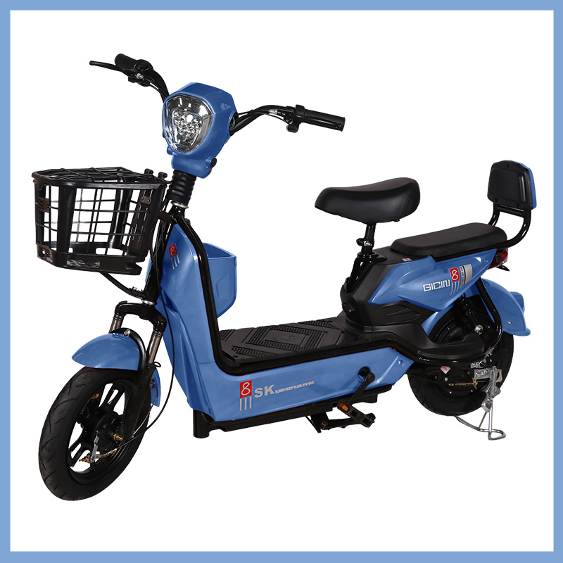 YTYIN Großhandel City E-Bike B – Scooter Electric Bewertung und Preis